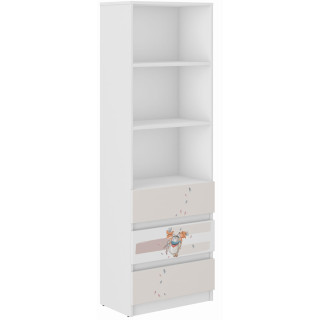 Dječja biblioteka B-3 - MEDVJED I LISICE